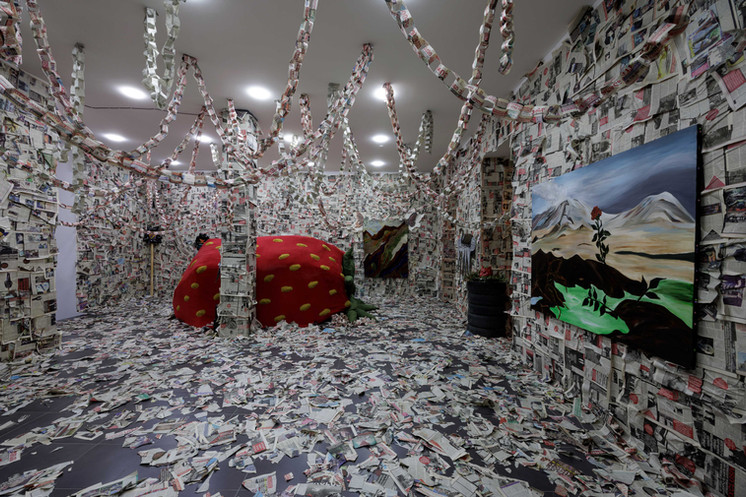 De tentoonstelling “I Hate The Poetry” van Seed Awardee Gvantsa Jishkariani in The Why Not Gallery in Tbilisi, Georgië, werd mogelijk gemaakt door Fertile Ground-partner Tbilisi Photo Festival. Afbeelding door Sera Dzneladze.